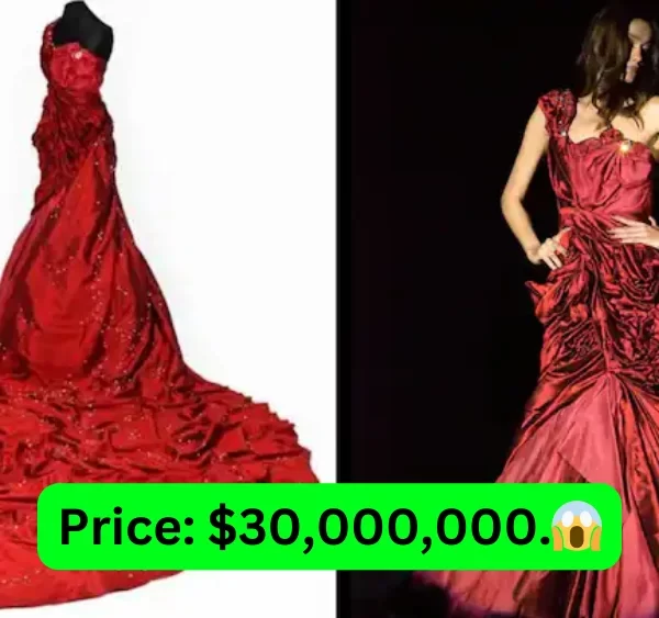 Most Expensive Dress in the World