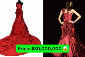Most Expensive Dress in the World