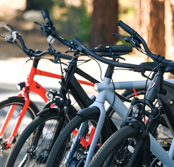 Delivery Delight: How to Select the Perfect Electric Bike for Your Needs