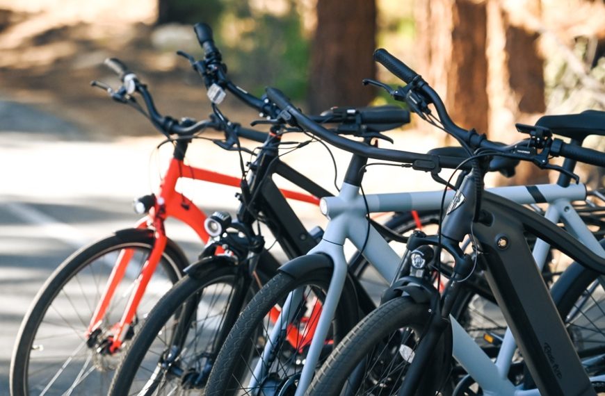 Delivery Delight: How to Select the Perfect Electric Bike for Your Needs